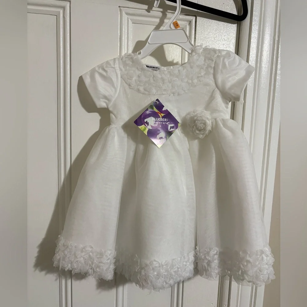 NWT Blueberi Boulevard Baby Girl Floral Appliqué Tulle Overlay Fit & Flare Dress